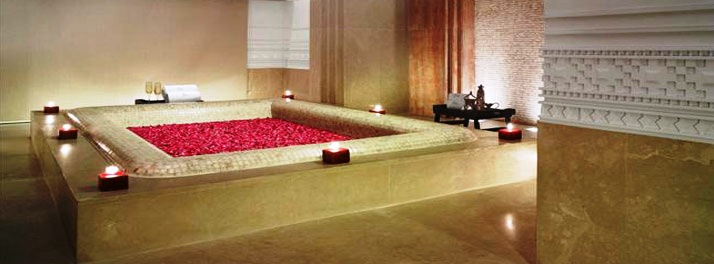 487/Vivanta by Taj Surajkund - Faridabad 11.jpg